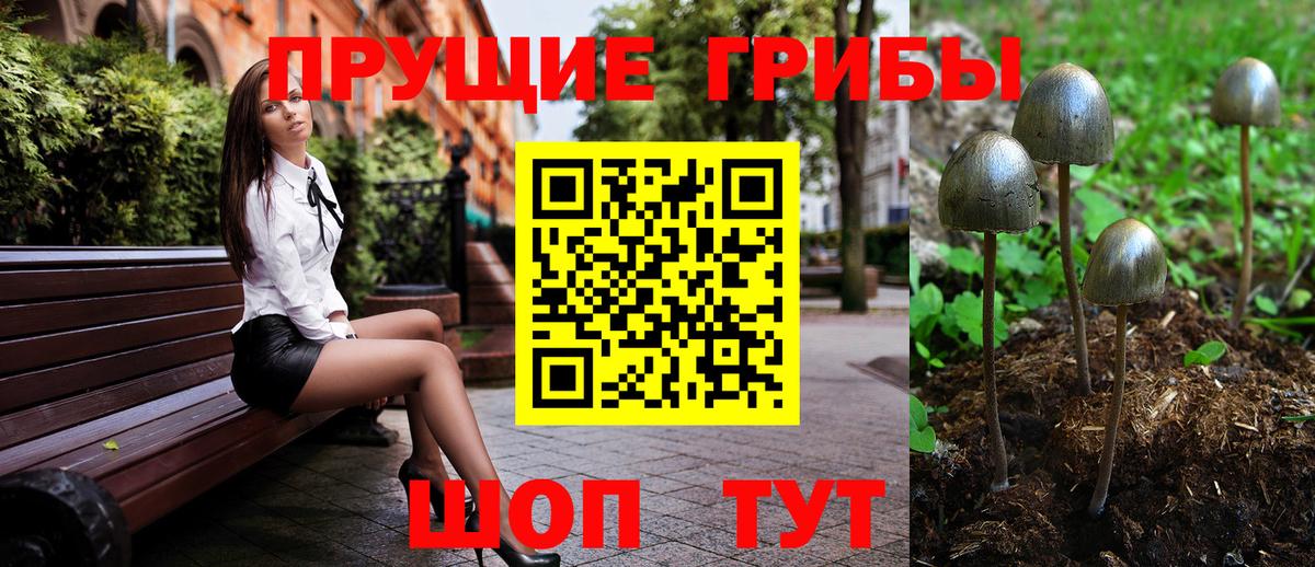 Магнитогорск  Галлюциногенные грибы Cubensis  Вход с VPN 