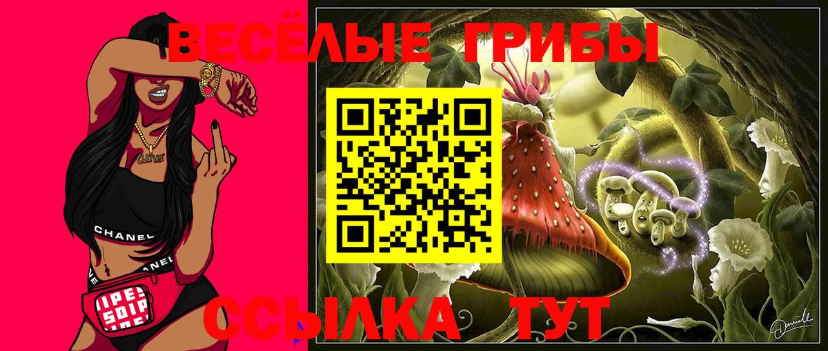 Галлюциногенные грибы GOLDEN TEACHER Магнитогорск
